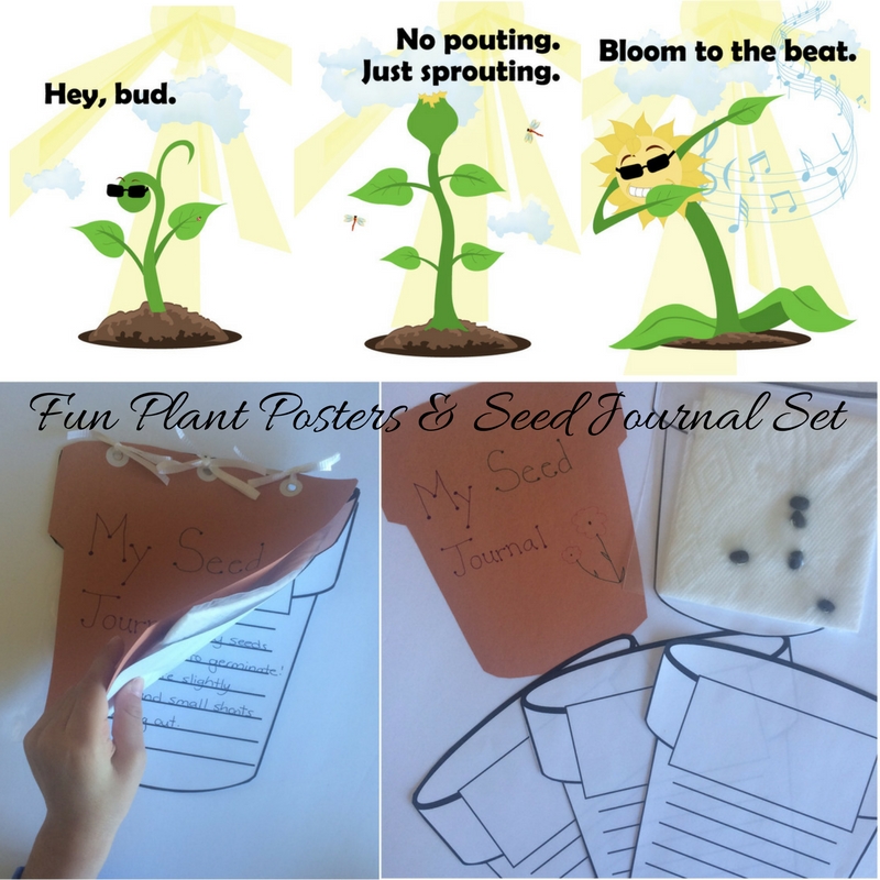 Fun plant posters & seed journal, perfect for a plant growth unit or Ea...